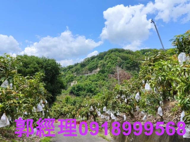 台南玉井農地-5