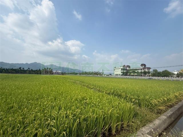 美濃農地-2