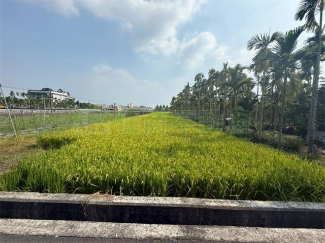 美濃農地-9