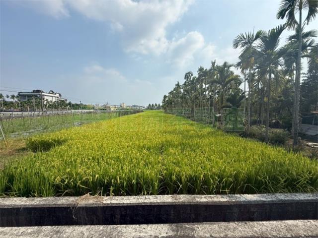 美濃農地-2
