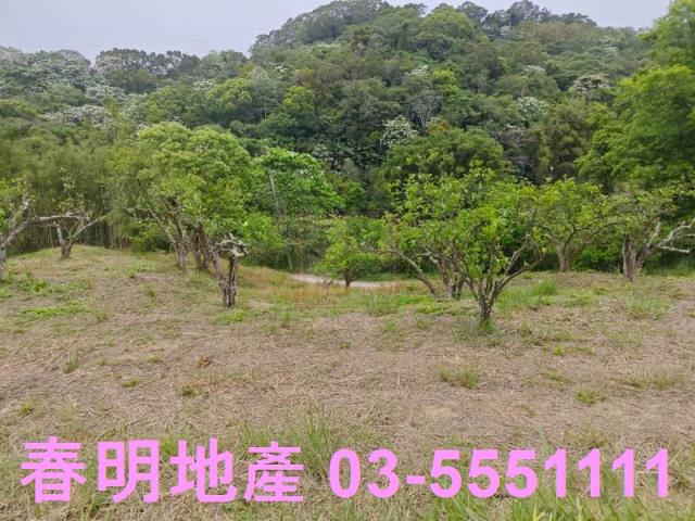頭份農地-0