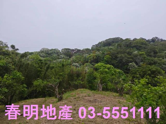 頭份農地-8