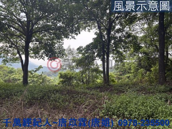 橫山山坡地-0