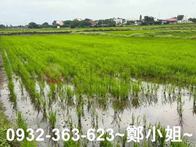新屋農地-11