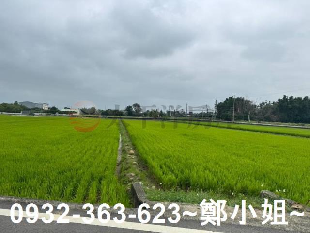 新屋農地-2