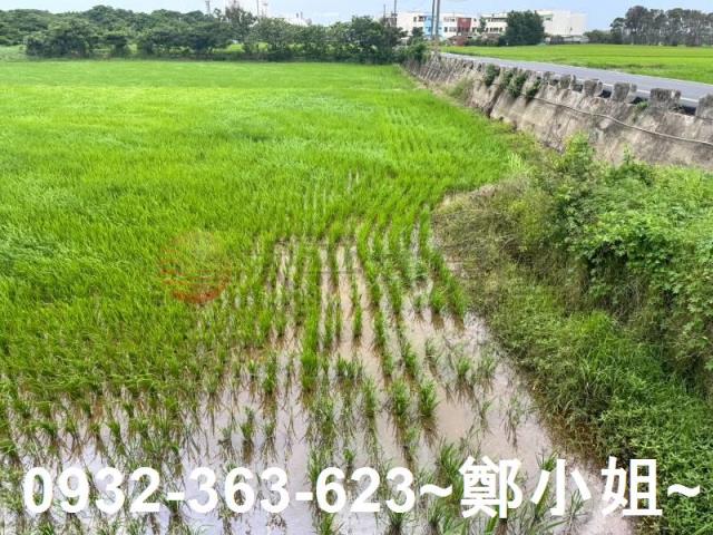 新屋農地-7