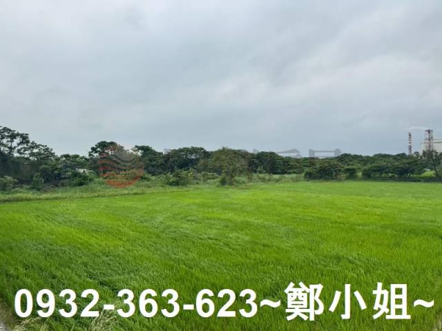 新屋農地-8