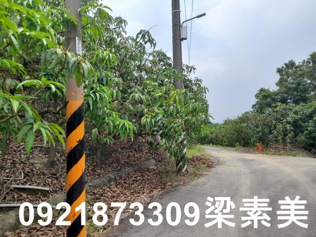 玉井農地-4