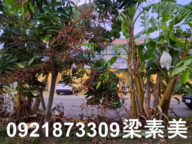 台南農地-0