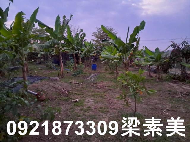 台南農地-1