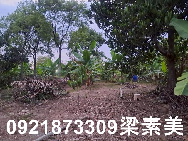 台南農地-2