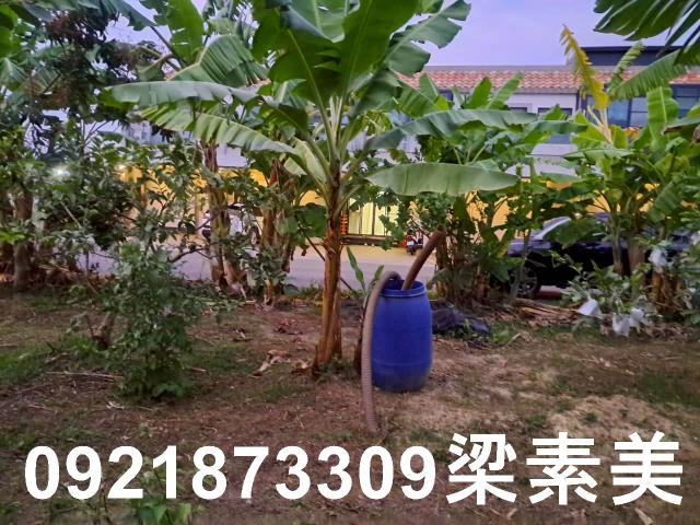 台南農地-3