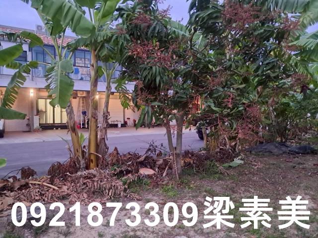 台南農地-4