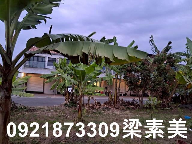 台南農地-7