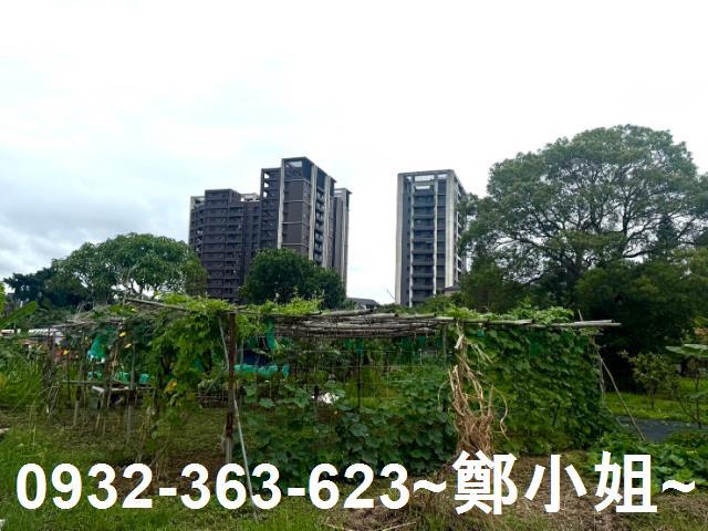 桃園農地-1