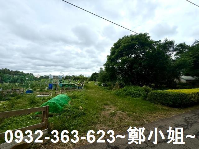 桃園農地-3