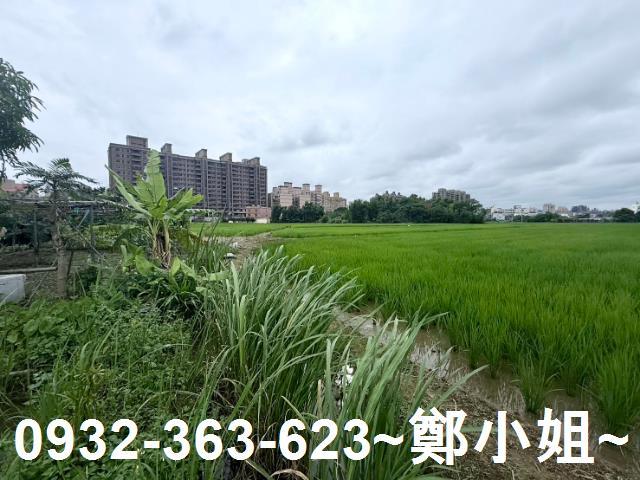 桃園農地-6