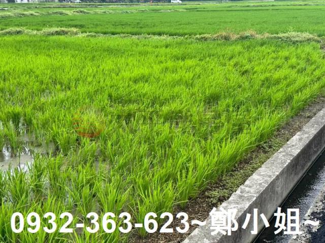 桃園新屋農地-10