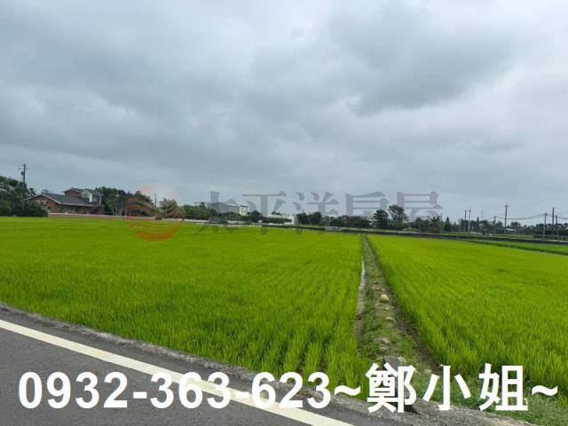 桃園新屋農地-1