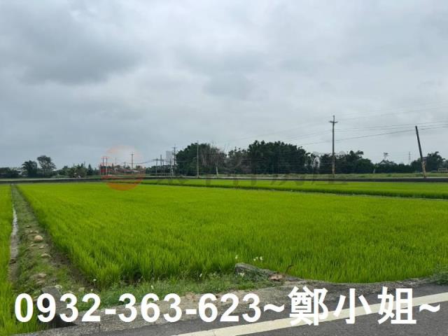 桃園新屋農地-2