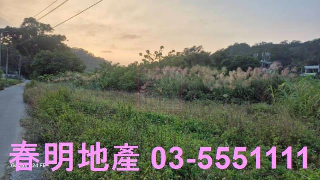 苗栗造橋農地-12