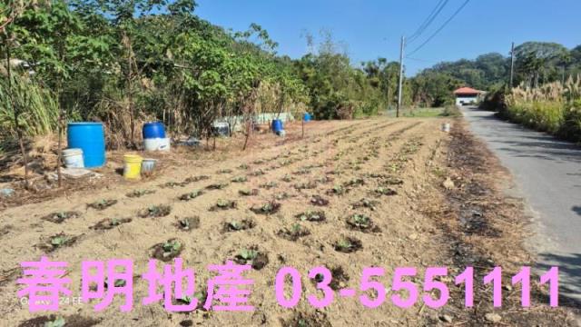 苗栗造橋農地-3