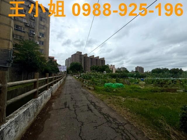 桃園桃園區農地-0