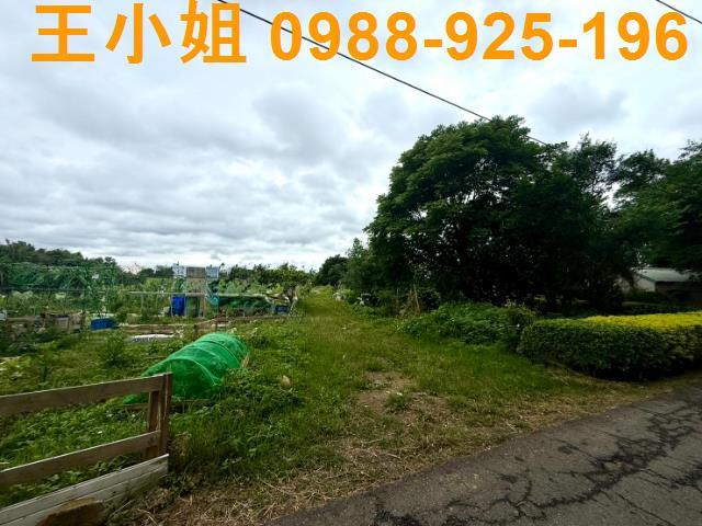 桃園桃園區農地-2