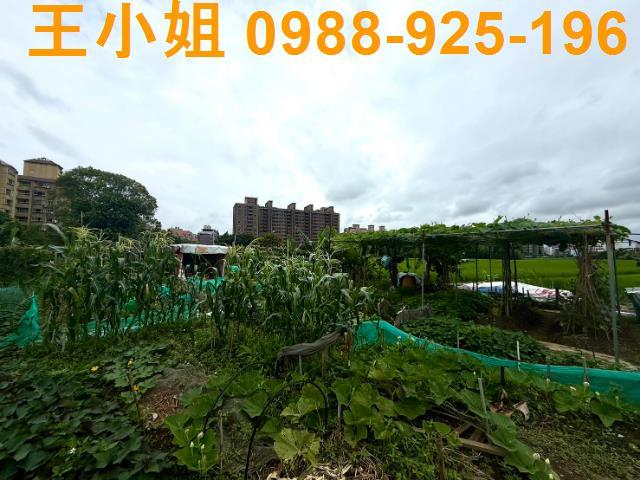 桃園桃園區農地-3