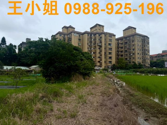 桃園桃園區農地-5