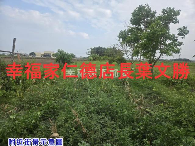 台南七股農地-1