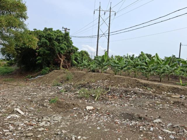 高雄路竹農地-5