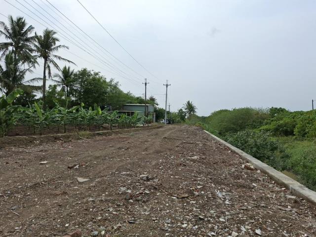 高雄路竹農地-7