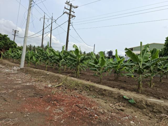 高雄路竹農地-2