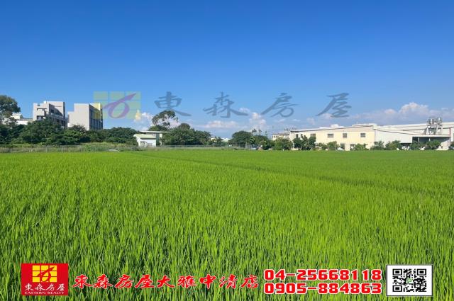 大雅土地