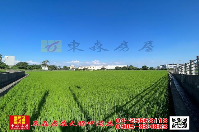 台中神岡農地-2