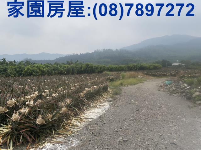 屏東萬巒農地-0