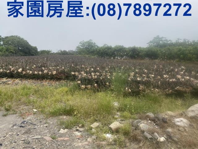 屏東萬巒農地-3