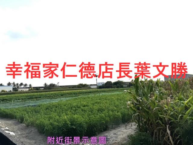 安定農地-9
