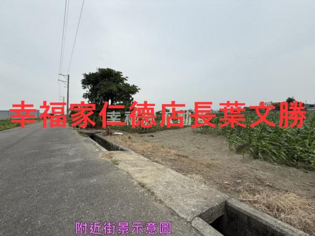 安定農地-1
