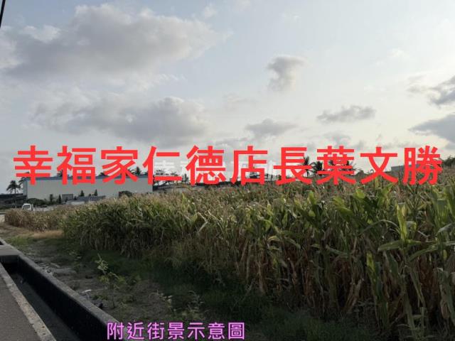 安定農地-2