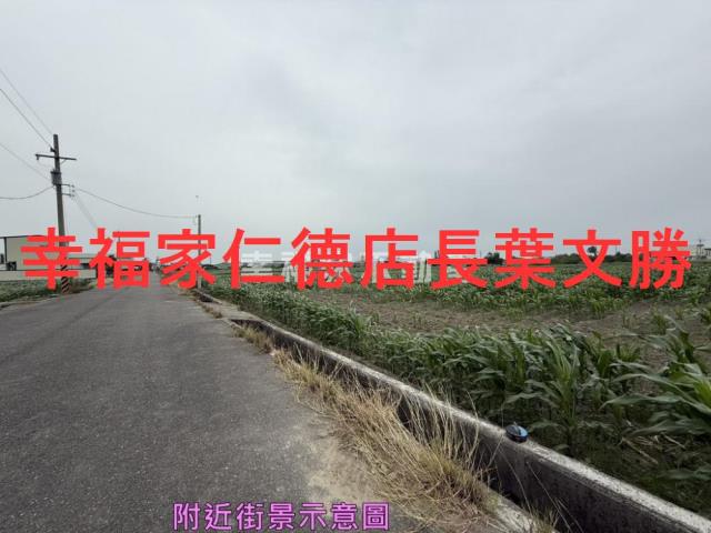 安定農地-6