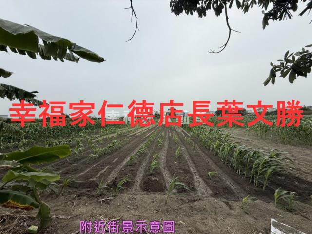 安定農地-7