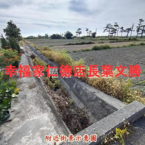 學甲農地-6