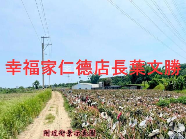 關廟農地-9