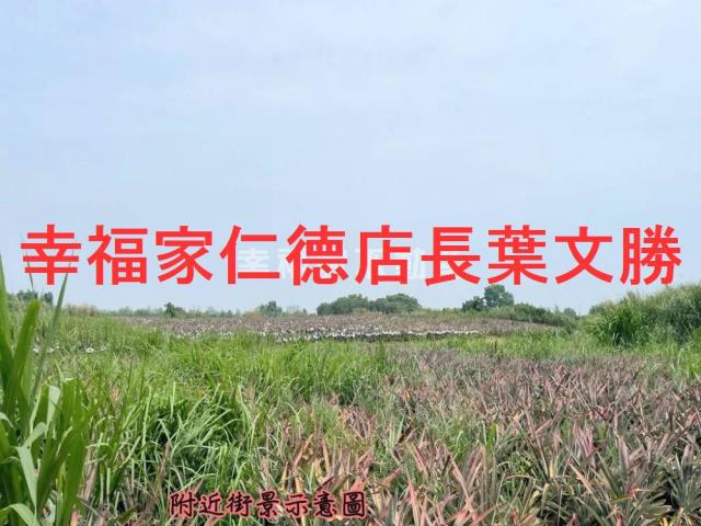 關廟農地-13