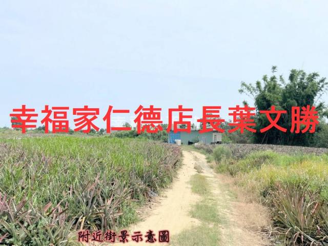 關廟農地-1