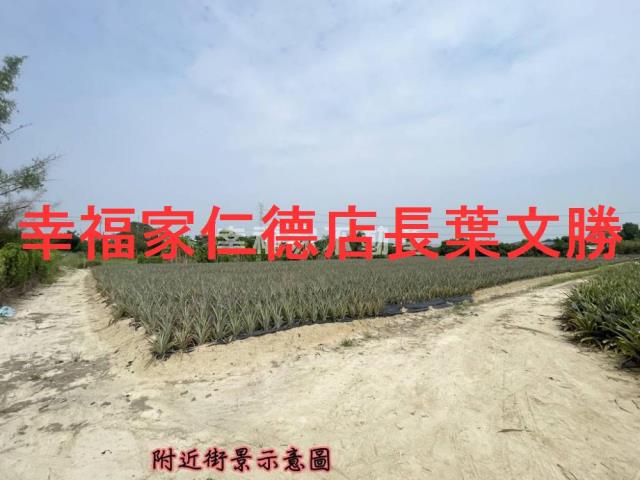 關廟農地-5