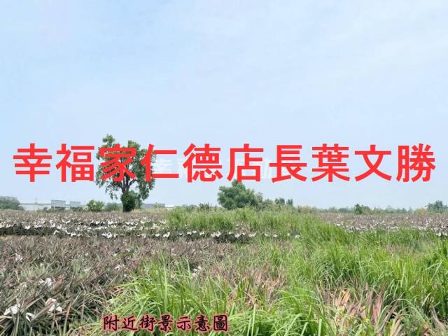 關廟農地-8