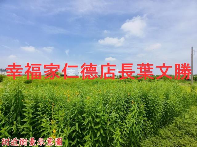 安定農地-4
